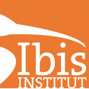 Logo Ibis Institut